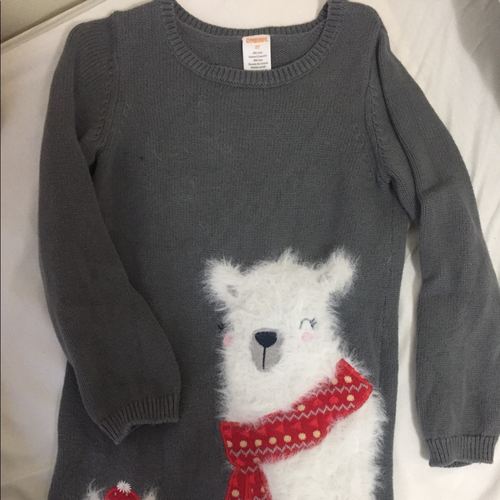 Gymboree dress, 5T